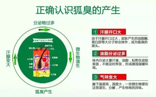 1636971314139276.png image.png