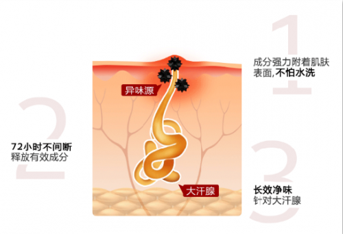 QIJI·奇记：探索安全高效净味新高度 突围香体行业佼佼者