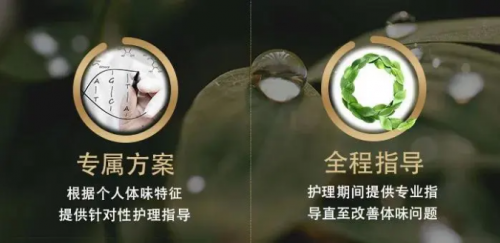 QIJI·奇记：探索安全高效净味新高度 突围香体行业佼佼者