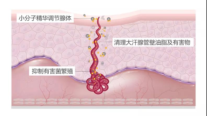 1656380657289646.jpg 8.jpg