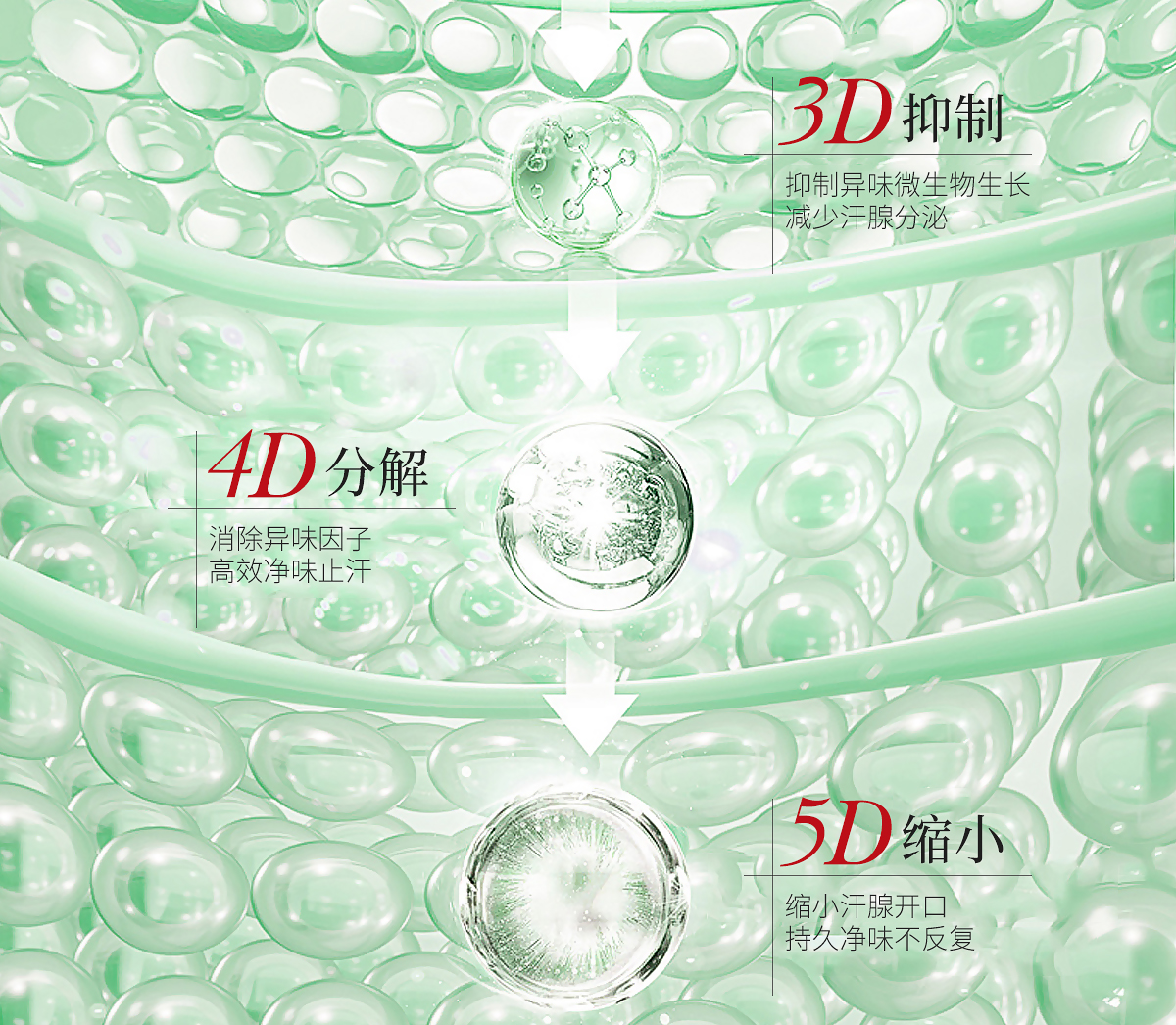 1752472102138506.jpg 舒爽清新液官网详情页_11.jpg