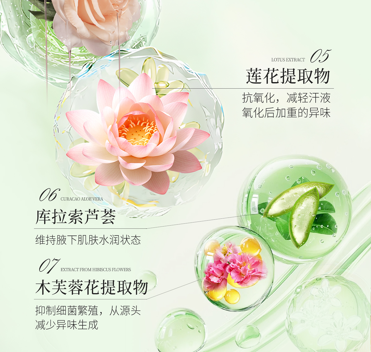 1752472145101172.jpg 舒爽清新液官网详情页_15.jpg